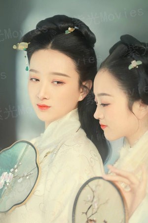 汽车威利