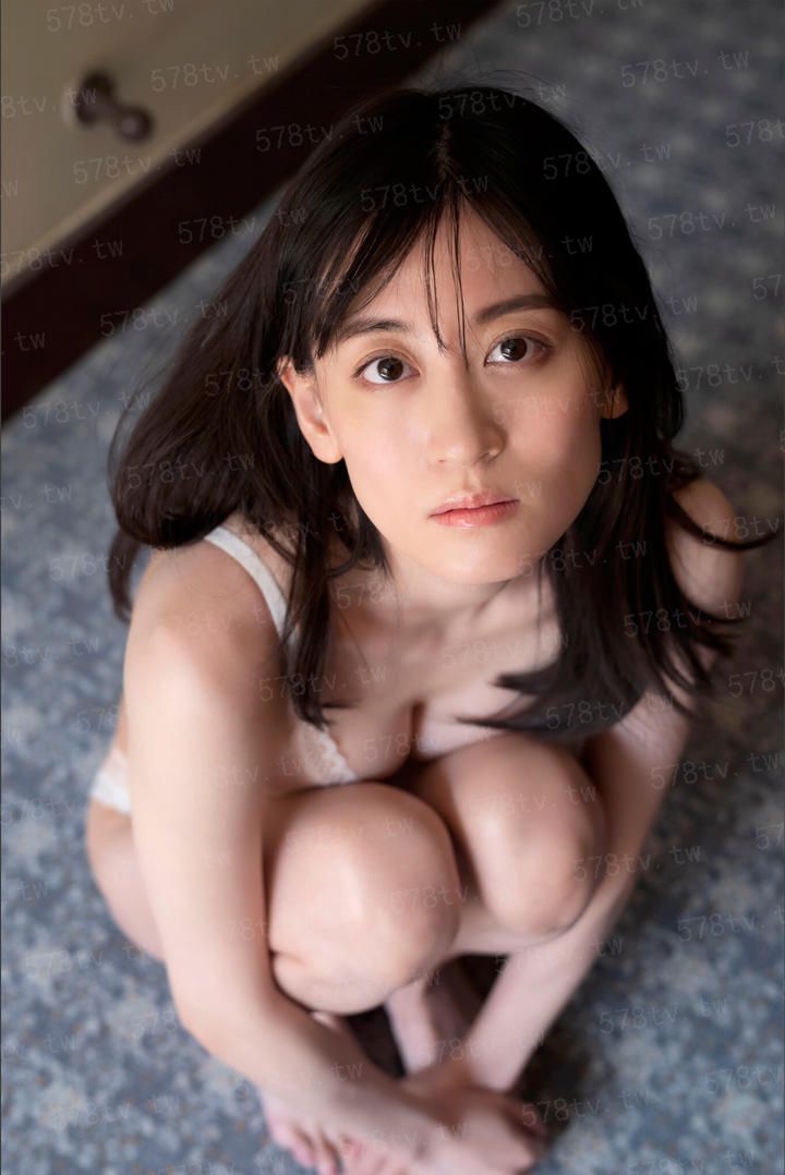 追日行动