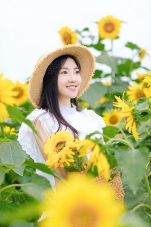 美味风云