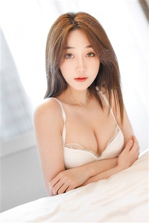狮子王外传