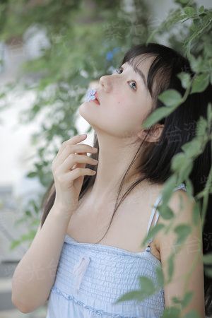 暴裂寻凶
