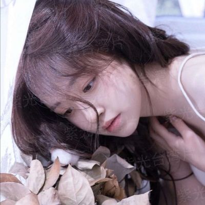 第12届中国金鹰电视艺术节暨第29届中国电视金鹰奖颁奖晚会