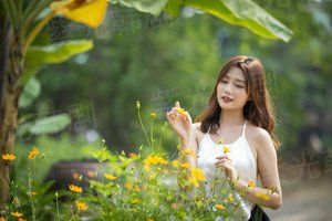 阴阳路13：花鬼