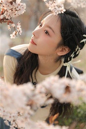 猫头鹰与小飞象